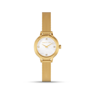 Avery Mesh 23mm Watch (Gold)