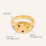 The Story of Us Oval Signet Ring (Gold)