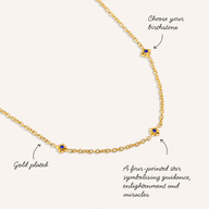Written In The Stars Birthstone Necklace (Gold)