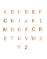 Initial Bracelet (Rose Gold)