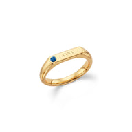 Birthstone Signet Custom Name Ring (Gold)