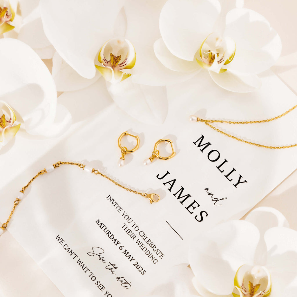 Imported Metaobject Backreference Image