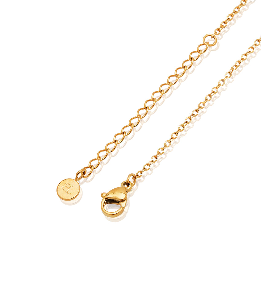 Fixed Charm Necklace (Gold)