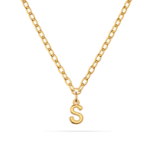 Fine Single Charm Necklace (Gold)