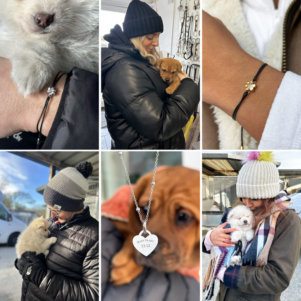 Imported Metaobject Backreference Image