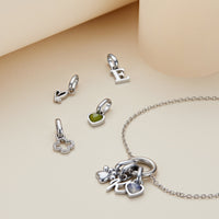Stacey's Stories Multi Charm Necklace (Silver)
