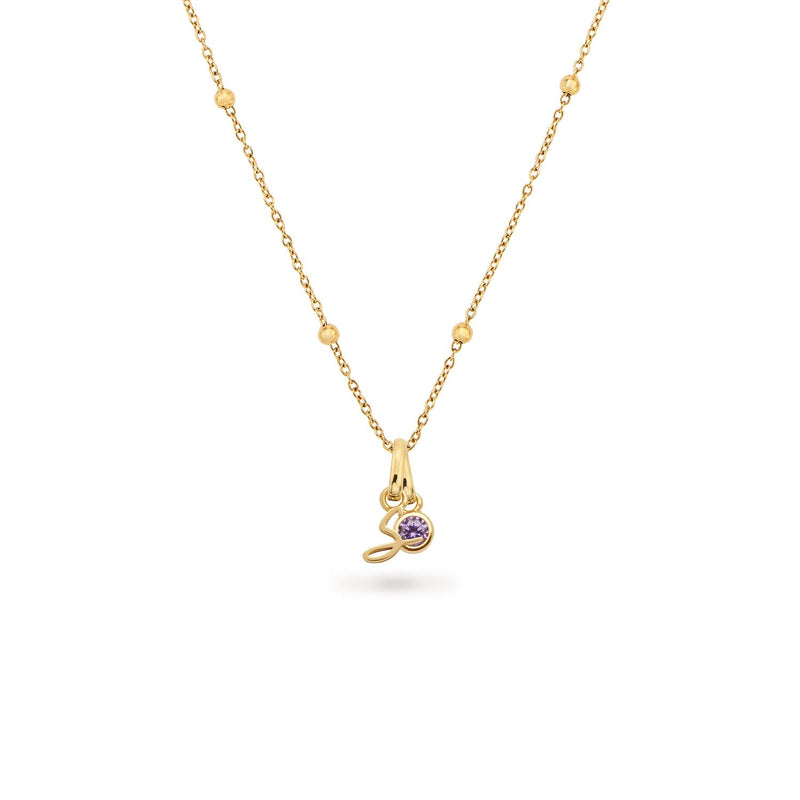 Script Initial & Birthstone Necklace (Gold)