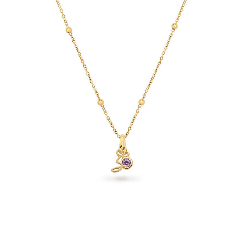Script Initial & Birthstone Necklace (Gold)