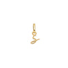 Stacey's Stories Script Initial Charm (Gold)
