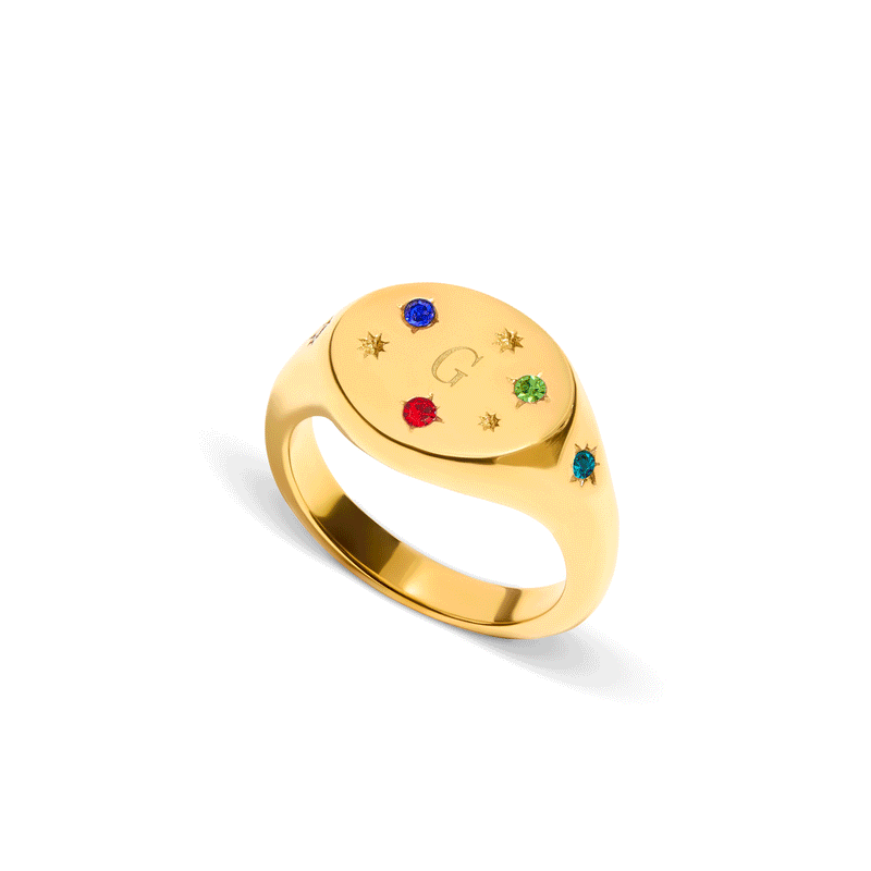 The Story of Us Oval Signet Ring (Gold)