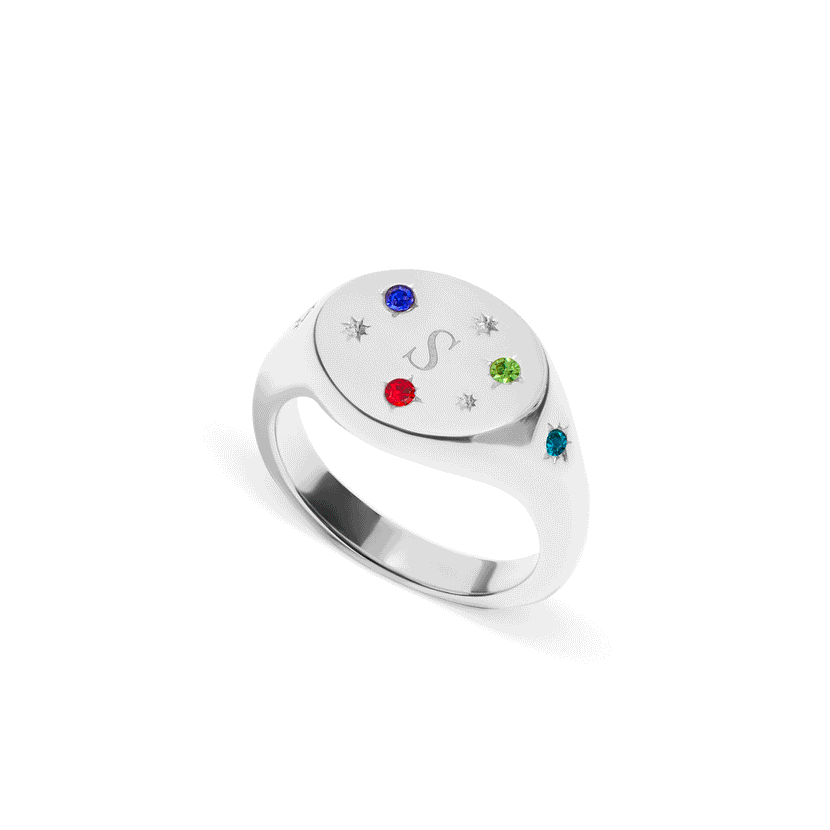 The Story of Us Oval Signet Ring (Silver)