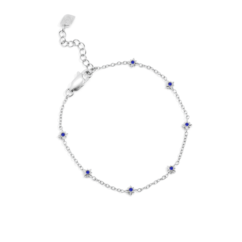 Written In The Stars Birthstone Bracelet (Silver)