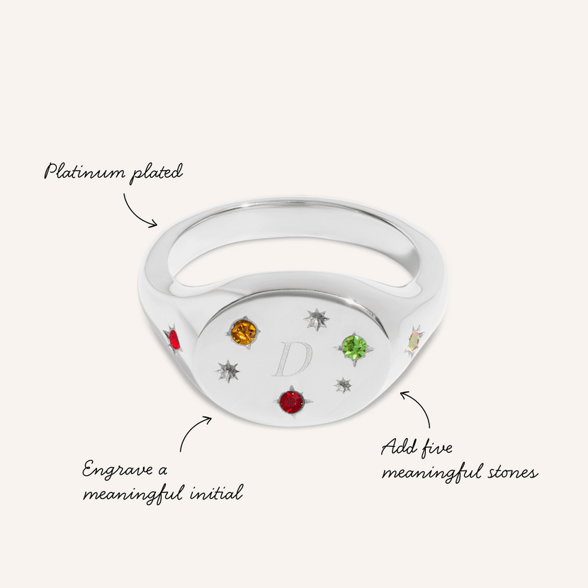 The Story of Us Oval Signet Ring (Silver)