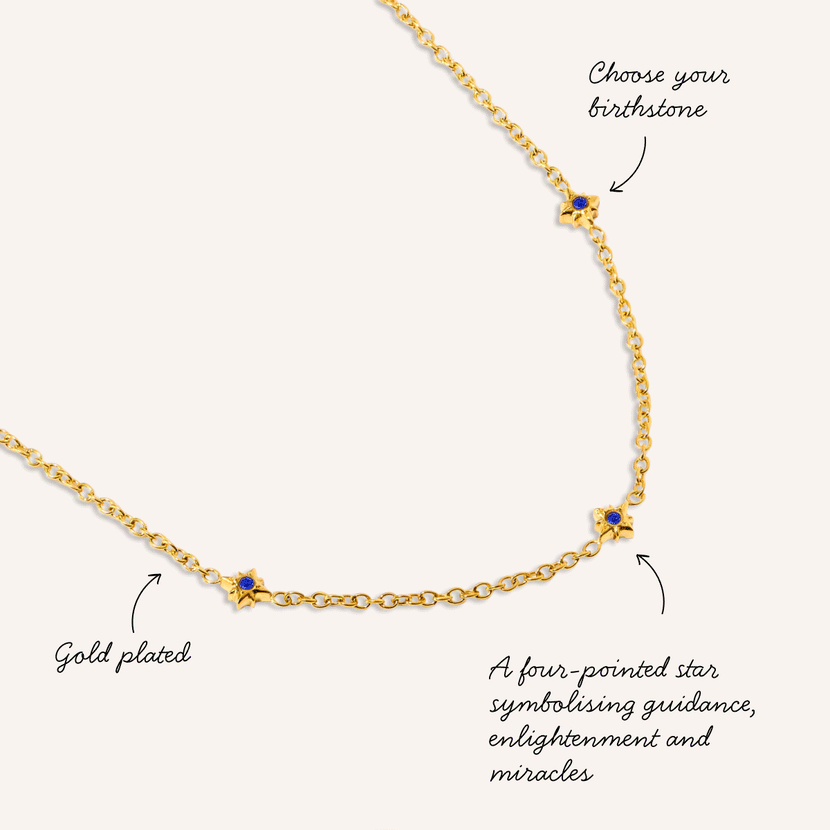 Written In The Stars Birthstone Necklace (Gold)