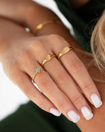 Oval Signet Ring (Gold)