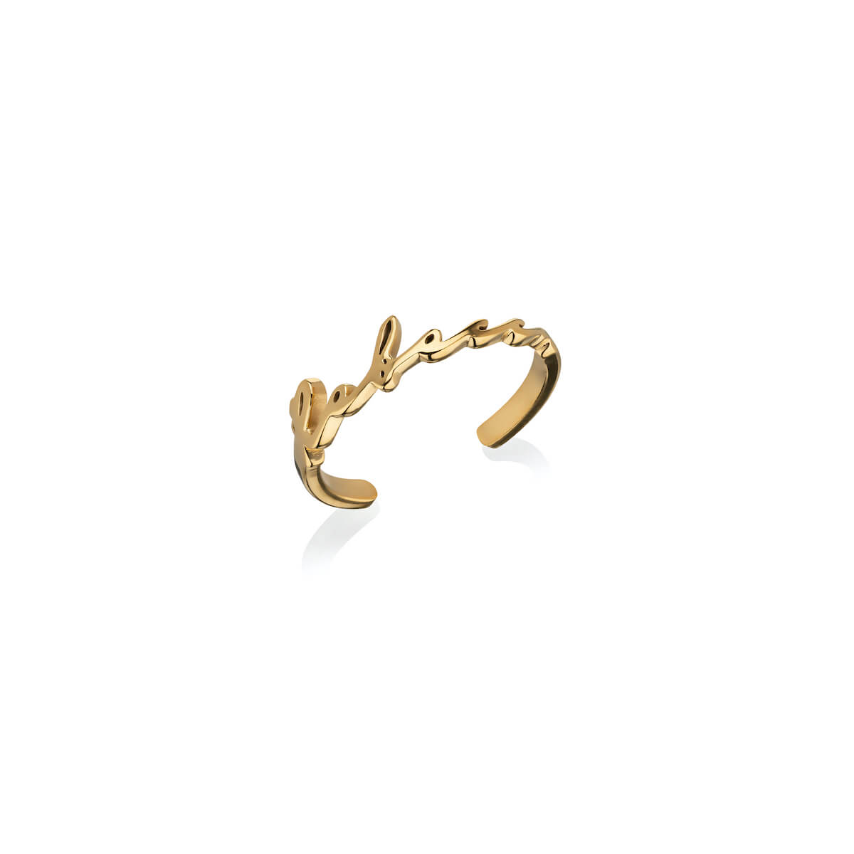 Signature Name Ring