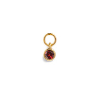 Stacey's Stories Mini Birthstone Hoop Charm (Gold)