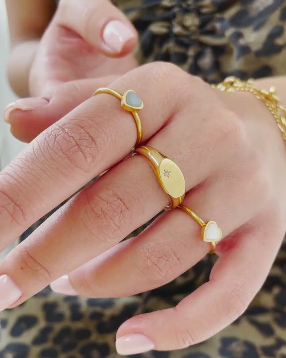 Oval Signet Ring (Gold)