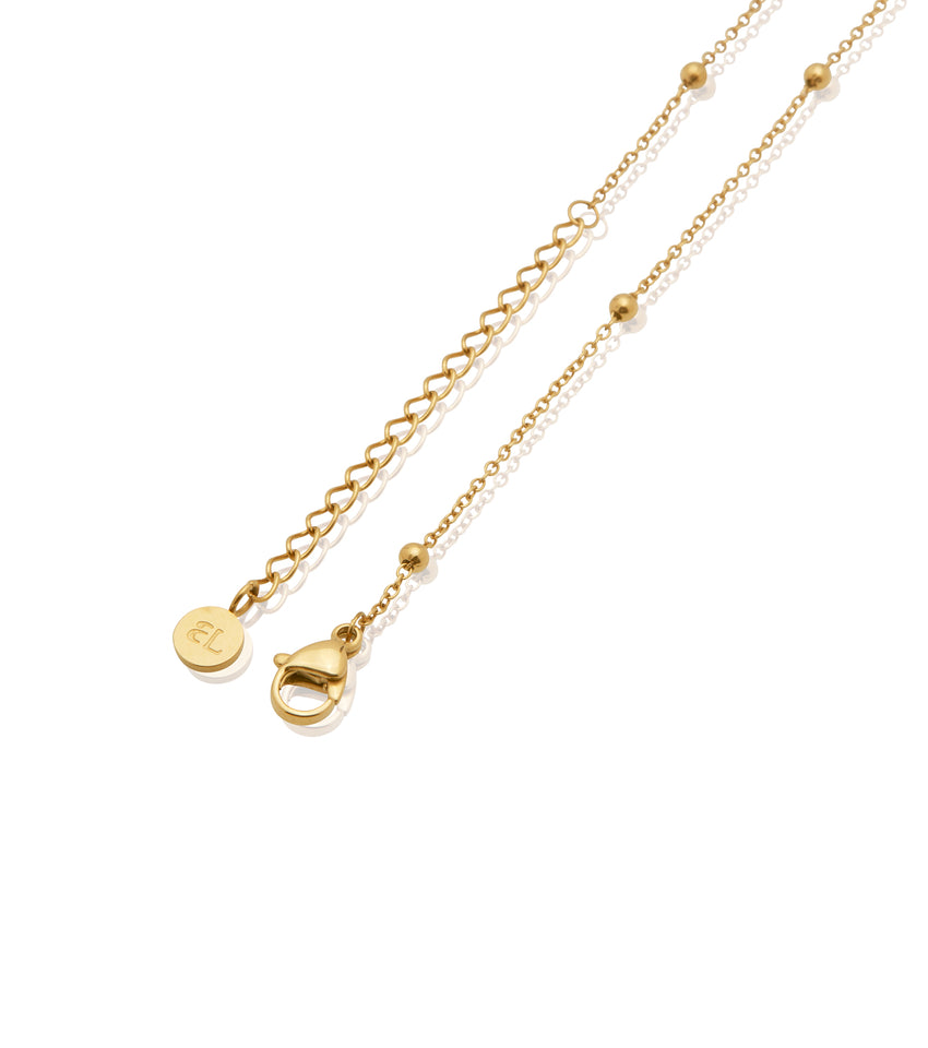 Personalised Initial & Birthstone Necklace (Gold)