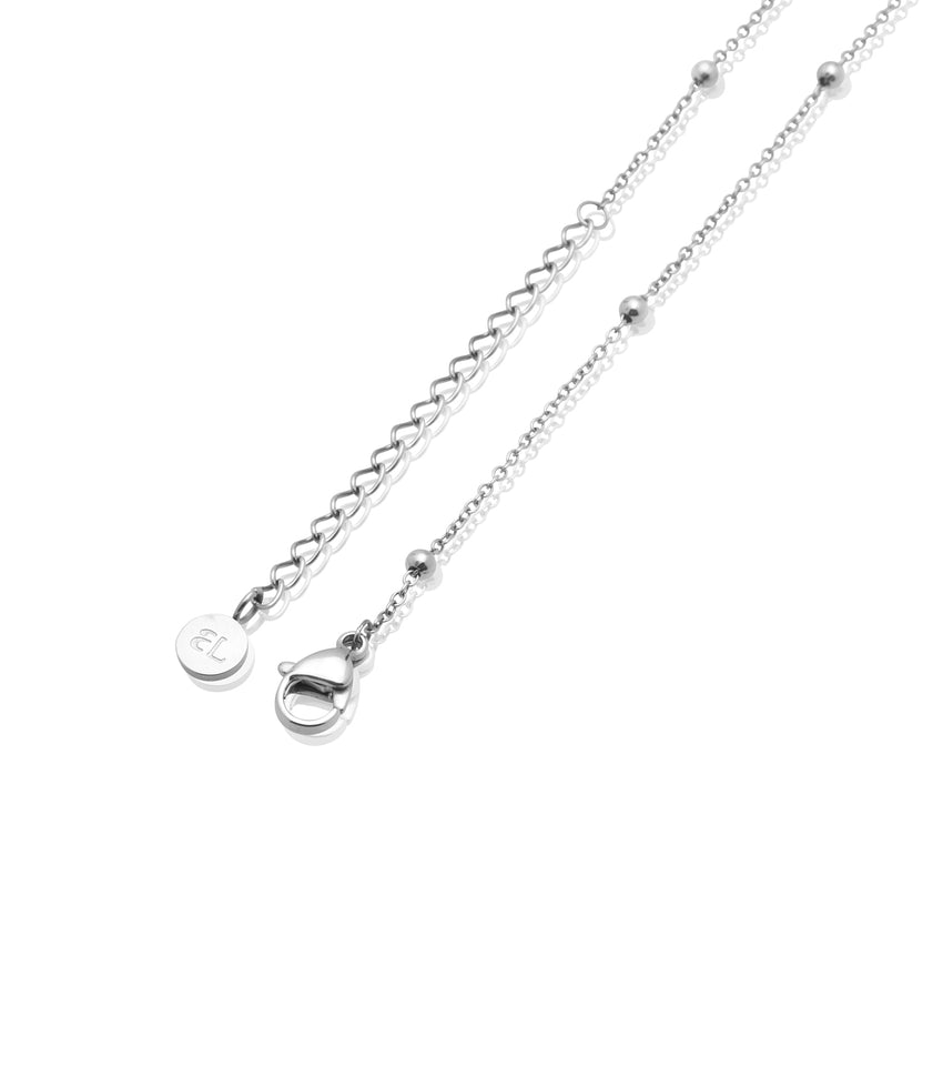 Personalised Initial & Birthstone Necklace (Silver)