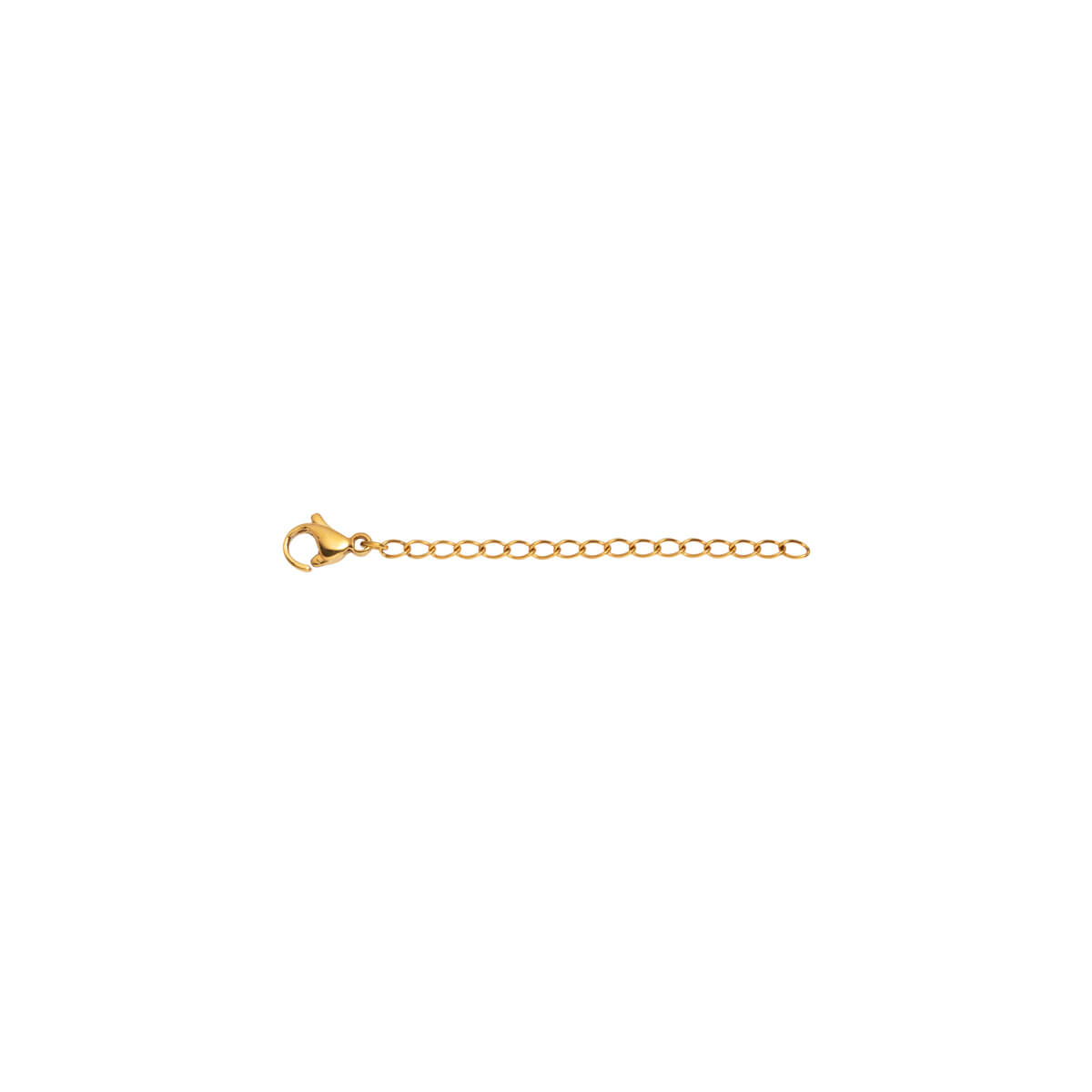 2 Inch Chain Extender