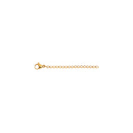 2-Inch Chain Extender (Gold)